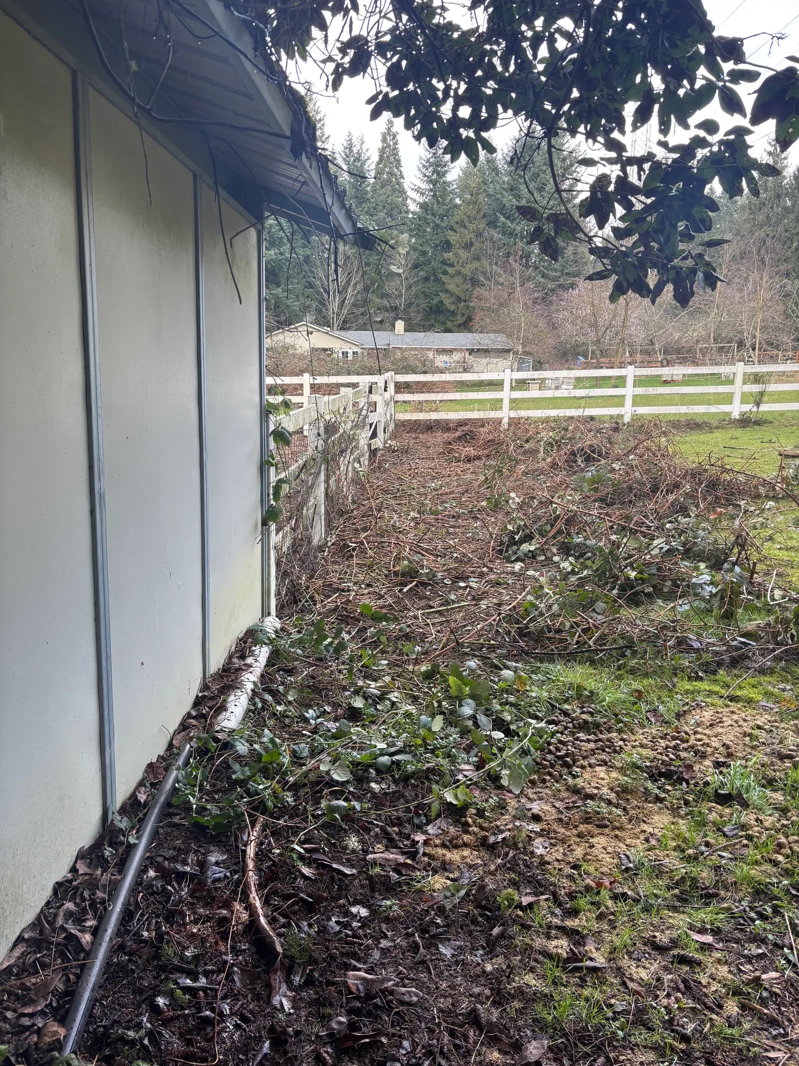 RME Landscaping recent work — gallery 12