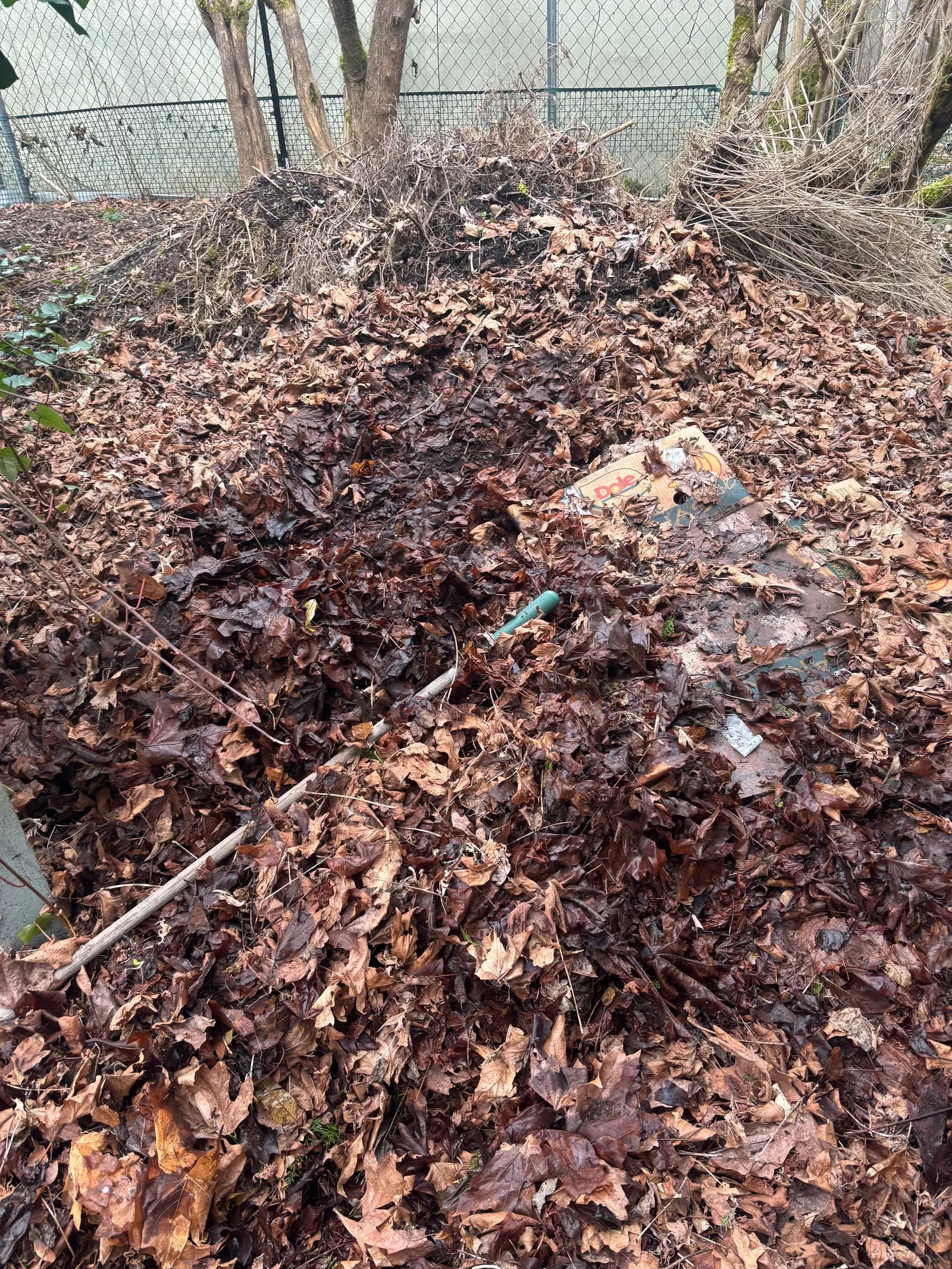 RME Landscaping recent work — gallery 13