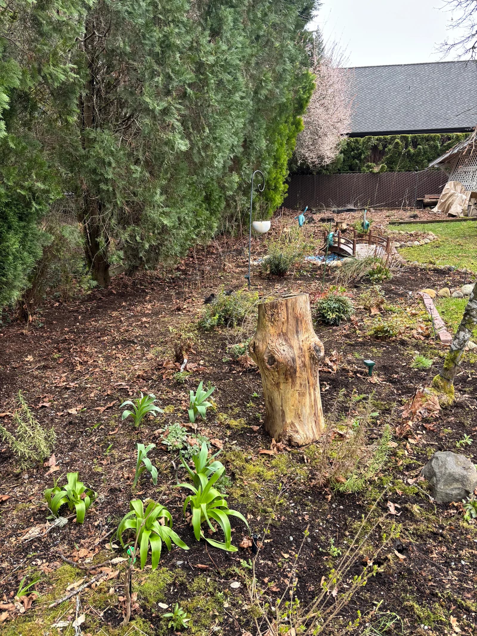 RME Landscaping recent work — gallery 15
