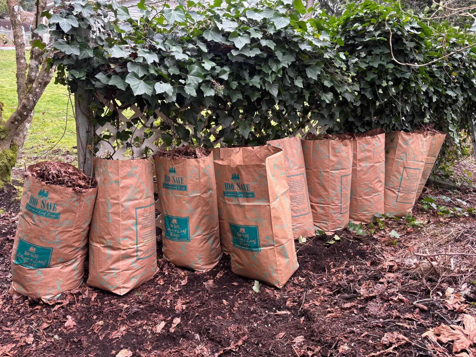 RME Landscaping recent work — gallery 16