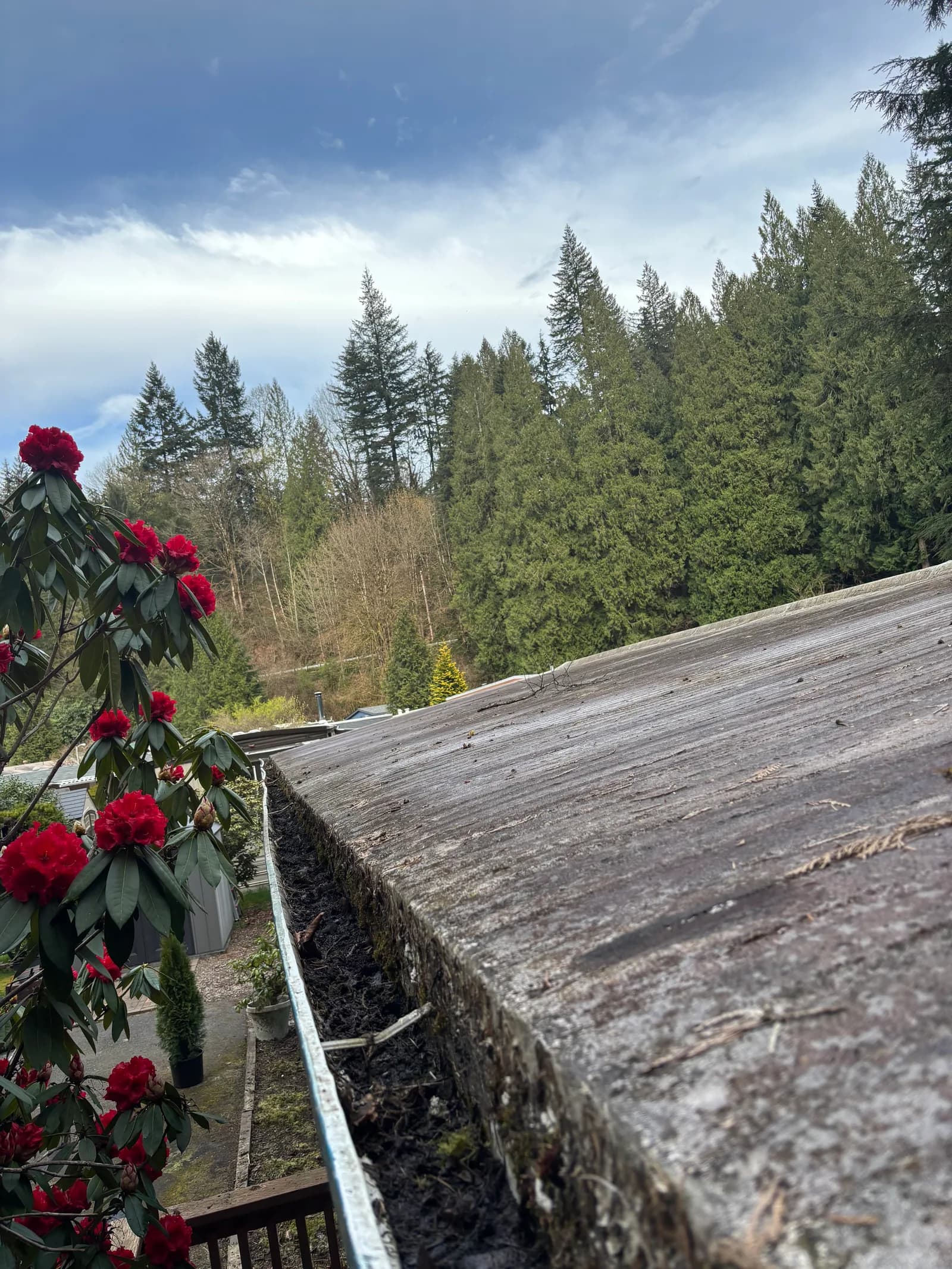 RME Landscaping recent work — gallery 21