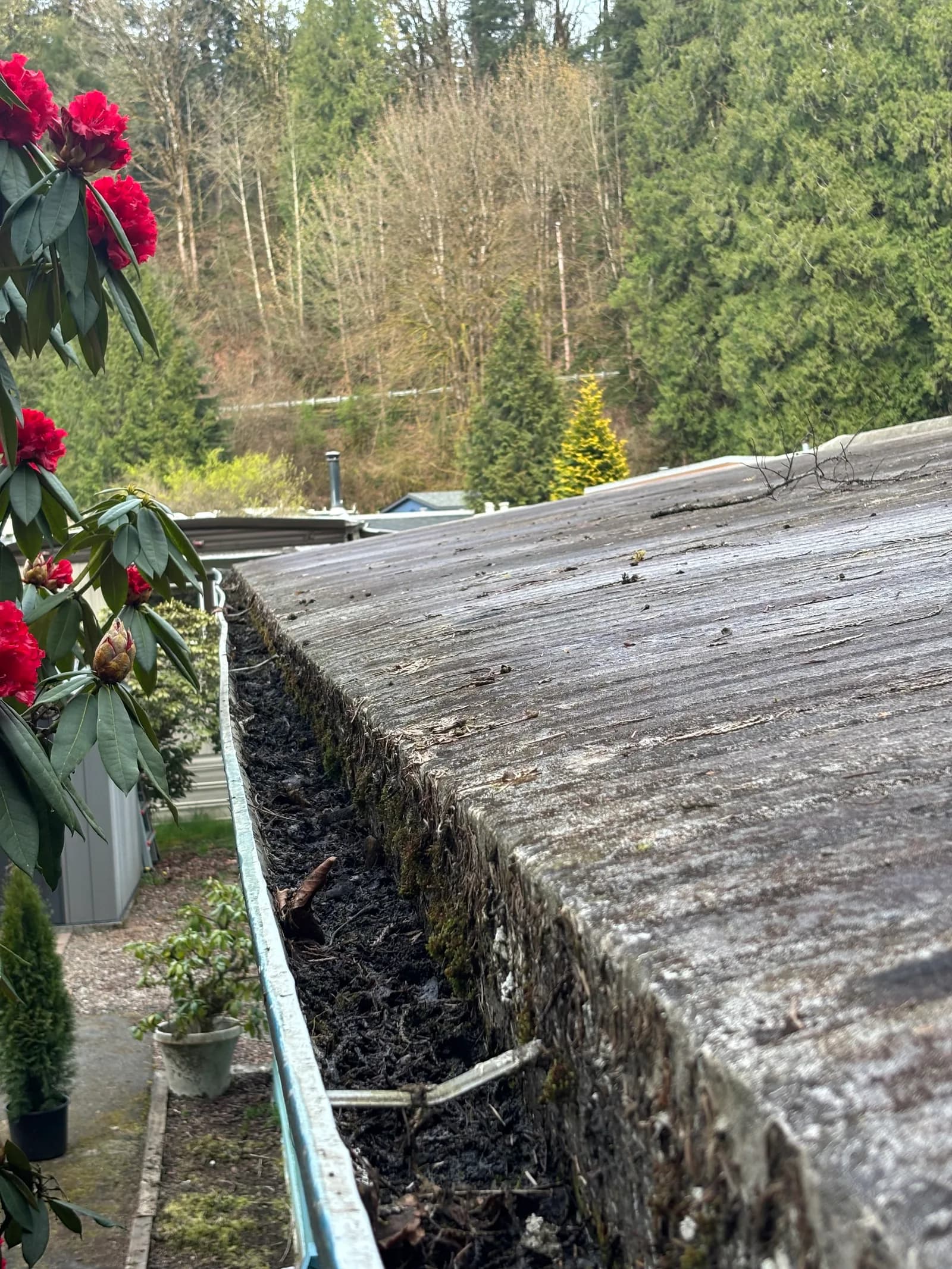 RME Landscaping recent work — gallery 22