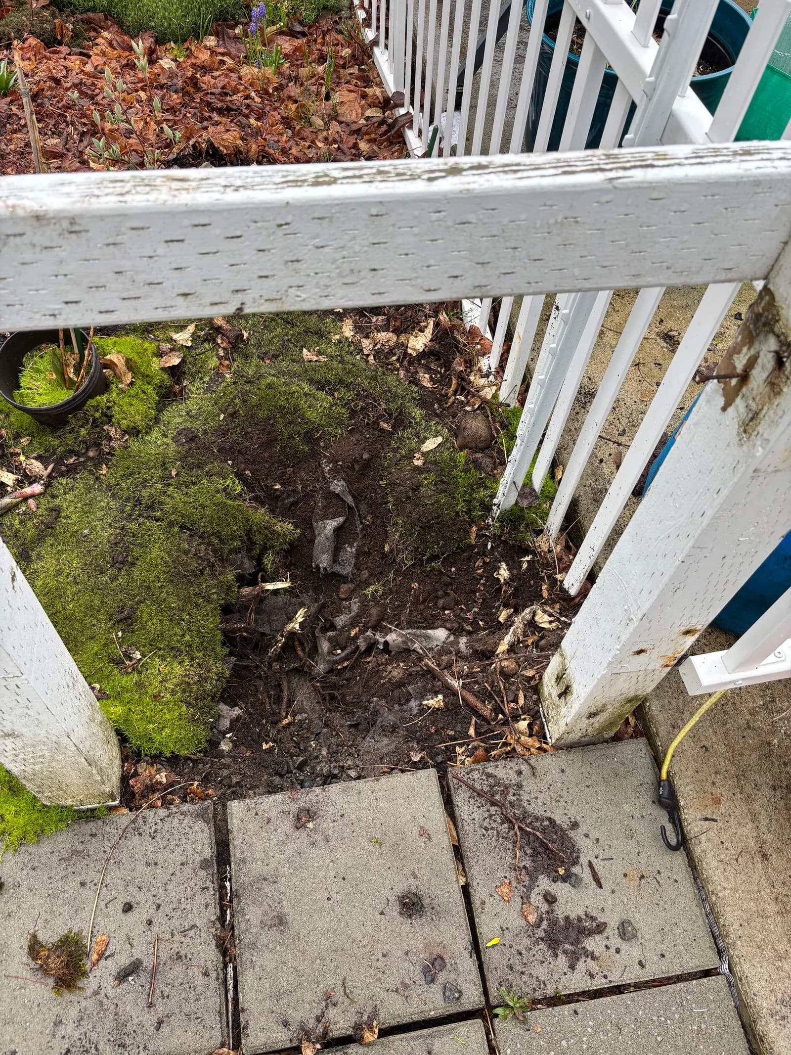 RME Landscaping recent work — gallery 25