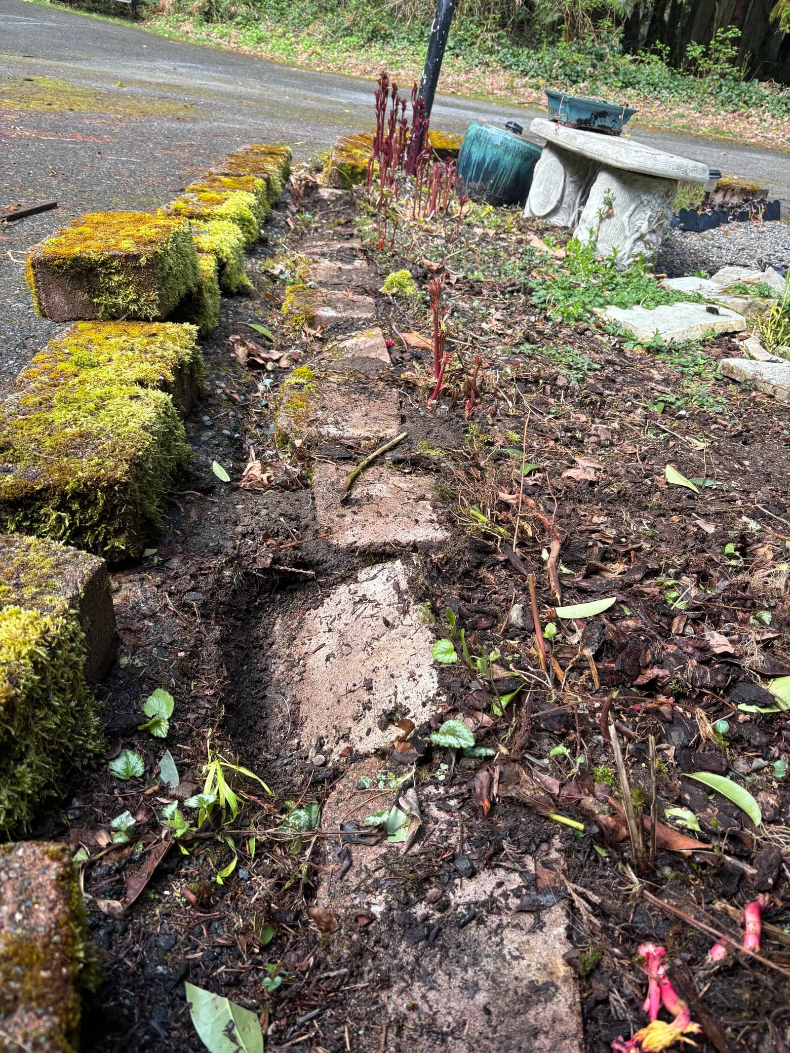 RME Landscaping recent work — gallery 29
