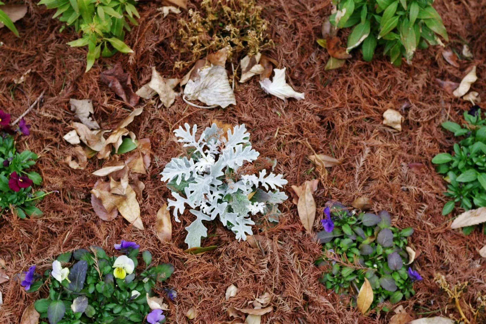 Mulch & Beds — RME Landscaping
